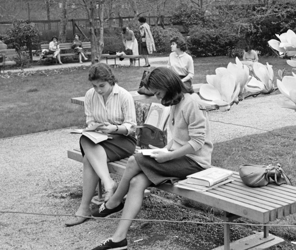 Valentine’s & Galentine’s Reads: Romance by Hispanic Authors