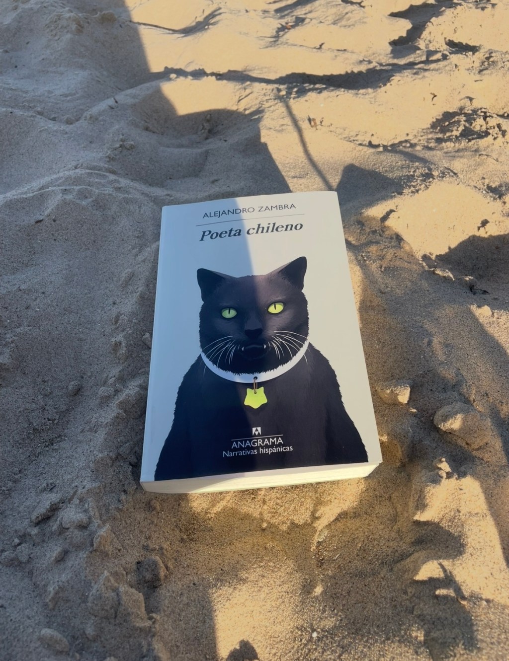 Monthly read: Poeta Chileno by Alejandro Zambra